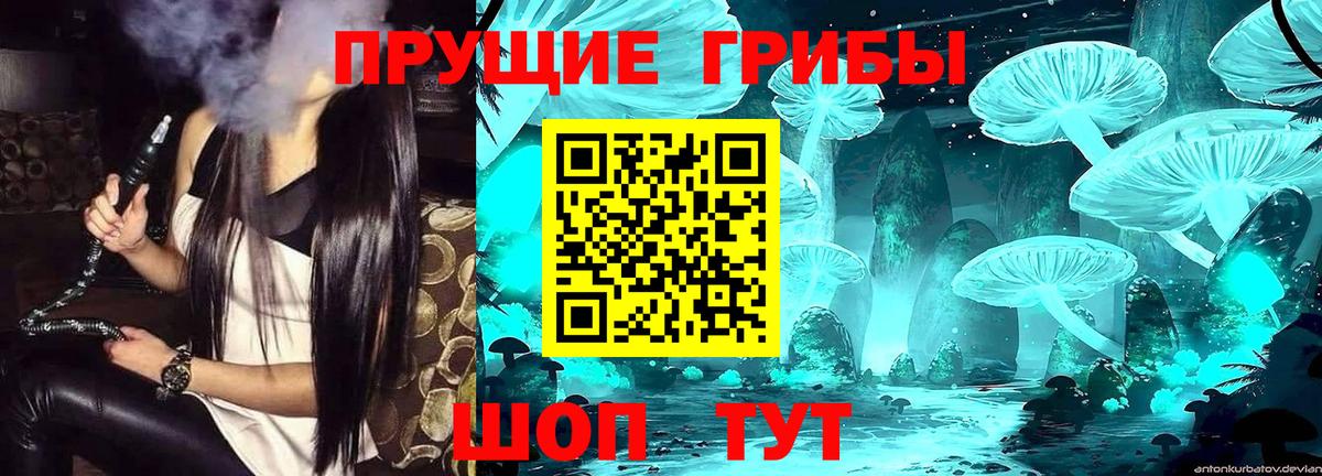 Псилоцибиновые грибы прущие грибы Шарыпово